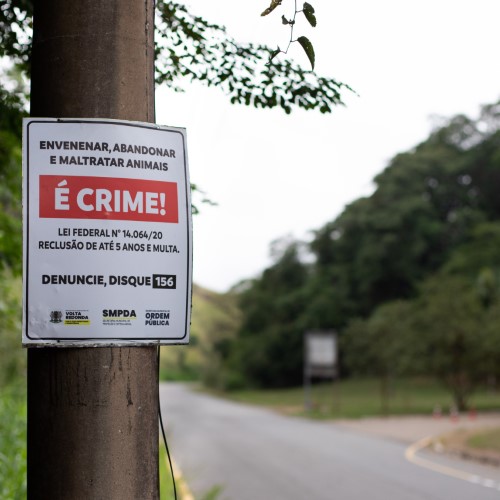 Prefeitura de VR inicia instalação de placas de conscientização contra abandono e maus-tratos aos animais